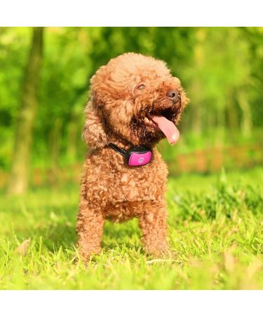 Small Dog Bark Collar - Adjustable Anti-Barking Device with Beep and Vibration - Humane Deterrent for Small to Medium Dogs - Pink - Buy Online on GoSupps.com