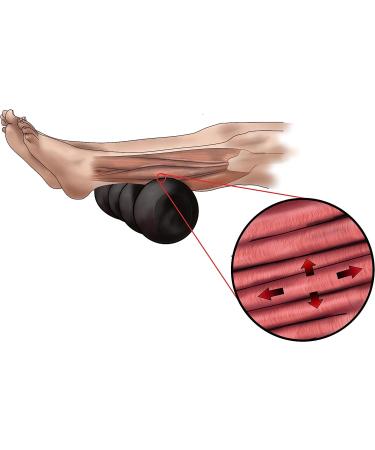 Rollga Flexibility & Muscle Recovery Foam Roller | 18 Medium Density - Royal Blue | Back & Neck Massage, Exercise Tool - Buy Online on GoSupps.com