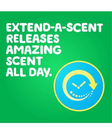 Gain Fireworks In-Wash Scent Booster Beads - Moonlight Breeze (30.3 oz 63 Loads) - Vibrant Freshness for Laundry | Shop Internationally - Buy Online on GoSupps.com