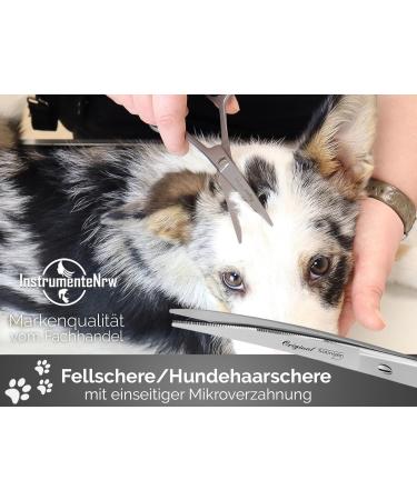 Premium 7-Inch German Stainless Steel Dog Hair Shears - Bent Fur Care Scissors with Micro Toothing for Dogs & Cats - Buy Online on GoSupps.com