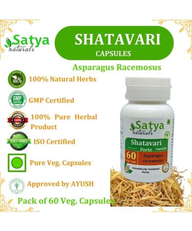 Generic Asparagus racemosus (Shatavari) Forte Capsules Pack of 60 x 500 mg. Veg. Capsules (Pack of 2) Green 120 Count (Pack of 1) - Buy Online on GoSupps.com
