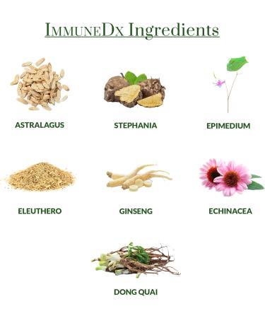 Plantiva AllerDx Capsules (60 Count) ImmuneDx (60 Capsules) Breathe Well Bundle 2CT - Buy Online on GoSupps.com