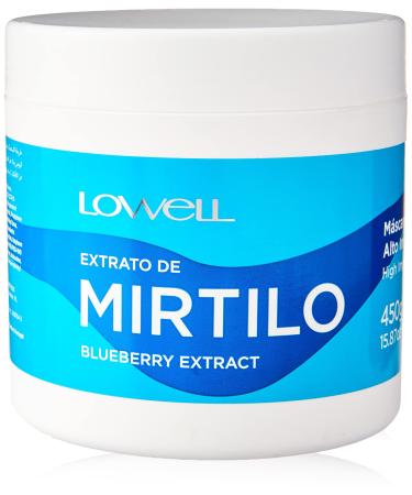 LOWELL - Masque aux extraits de myrtille Mirtilo -450 g-