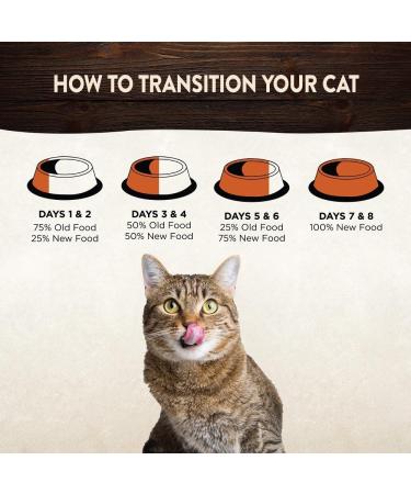 Wellness CORE Tender Cuts Cat Food in Sauce - Grain-Free High Meat Content Chicken Selection Mix (6 x 85g) - Premium Wet Cat Food for Healthy Cats - Buy Online on GoSupps.com