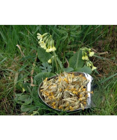 Naturix24 Key Flower Tea Key Flowers 1 Bag