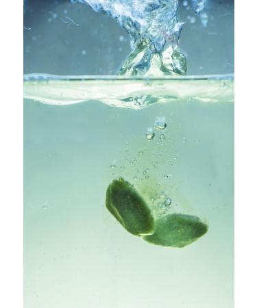 Agrosprouts Organic Wheatgrass Juice QUARTALSBOX - Frozen / from the farmer / AT BIO-301 - Buy Online on GoSupps.com