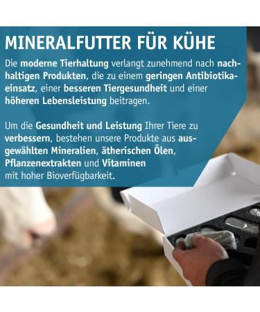 Vetmarkt24 Bolus PHOSPHOR in pack of 8 to support the phosphoric footprint of dairy cows - Buy Online on GoSupps.com