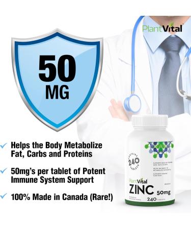 PlantVital Zinc Supplements 50mg (240 Count) - Immune Support Healthy Bones Hair Nail and Skin with Zinc Gluconate 50mg - Made in Canada - Additive-Free - 480 Zinc Tablets 240 count (Pack of 2) - Buy Online on GoSupps.com