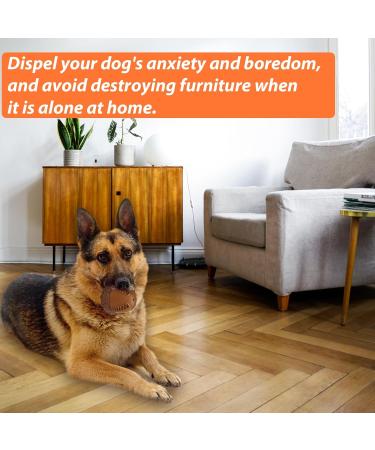 Laroo Dog Toys - Durable Squeaker Dog Ball for Small & Large Dogs | Natural Rubber Football Perfect for Playtime! - Buy Online on GoSupps.com