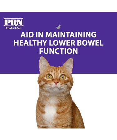 PRN Pharmacal PetEma Enema for Cats & Kittens - 6mL Syringe, 3-Pack - Buy Online on GoSupps.com