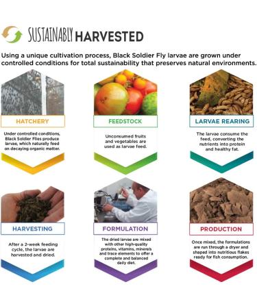 Fluval Bug Bites Color Enhancing Fish Food Tropical Fish Flakes 0.63 oz - Small to Medium Sized Fish - Pack of 1 - Buy Online on GoSupps.com