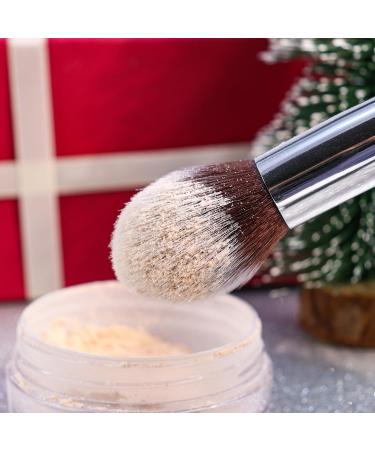 Beakey Makeup Brush Set for Women & Girls | 10+2PCs Foundation Blending Powder Blush Eye Shadow with Sponge & Cleaning Egg - Black/Silver - Buy Online on GoSupps.com