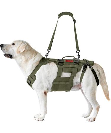 Buy Oneigris Dog Dishes - Invictus Support & Lifting Dishes for Medium & Large Dogs | Safety Dishes with 3 Handles & Adjustable Straps - M Green - Buy Online on GoSupps.com