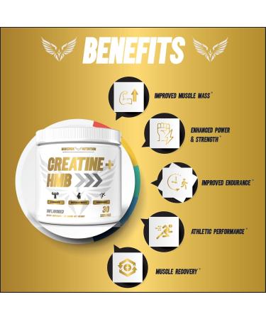 Creatine HMB - Creatine Powder for Men - Creatine Powder - Creatine Supplement - Creatine for Men - HMB Creatine - Creatine - Creatine Monohydrate - 30 Servings - Unflavored (Creatine + HMB) - Buy Online on GoSupps.com