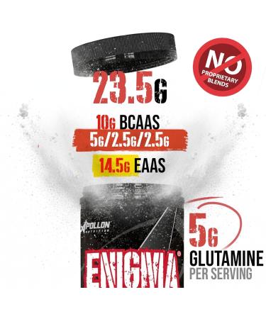 Apollon Nutrition Enigma Complete EAA + BCAA Recovery Matrix | 23.5g Total Aminos 5g Leucine | Glutamine + Electrolytes | Pineapple 40 Servings Pineapple 1.1 Ounce (Pack of 1) - Buy Online on GoSupps.com