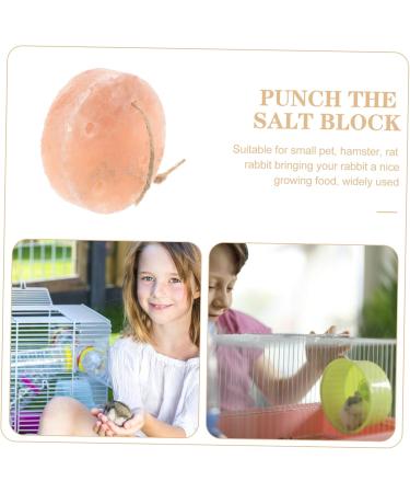 SEWOART Pet Saline Animals Salt Licking Brick Small Pets Lick Salt Hamster Salt Mineral Block Mineral Saline - Buy Online on GoSupps.com