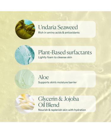 OSEA Undaria Algae Body Wash - pH Balanced - Hydrating & Moisturizing Citrus Scented Cleanser - Clean Vegan Non-Toxic Skincare - 8oz - Buy Online on GoSupps.com