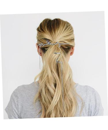 Hairpin Hair Barrettes Hair Pin Hair Clips Chinese Hair Sticks Silver Fringe Silver Hair Accessories Snake Headpiece Chinese Hair Accessories Hair Bun Stick Snake Hair Stick Metal FRCOLOR - Buy Online on GoSupps.com