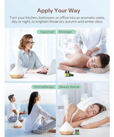 Essential Oils Set - 100% Pure Natural 6 Aromatherapy Oils Gift Kit | Relaxing Lavender Scent | Therapeutic Grade for Diffuser Humidifier Massage Skin & Hair Care - International Shipping Available - Buy Online on GoSupps.com