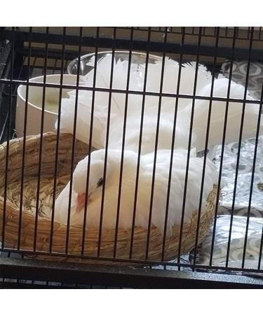 Orgrimmar Handmade Woven Straw Bird Nest Breeding House for Small Pets - 2PCS - Buy Online on GoSupps.com