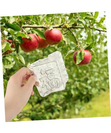 SUPVOX 8 Pcs Square Apple Fruit Melon Mold Square Mold Mould Cover Stereotypes - Buy Online on GoSupps.com