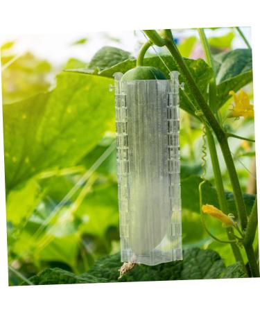 Parliky 2pcs Melon and Fruit Shaping Mold Vegetables Cucumber Molds Fruit Growth Shaping Accessories Shaper - Buy Online on GoSupps.com