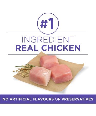 Purina ONE +Plus Senior Dry Dog Food Healthy Aging 7+ with Chicken - 11.7 kg Bag 11.7 kg (Pack of 1) - Buy Online on GoSupps.com