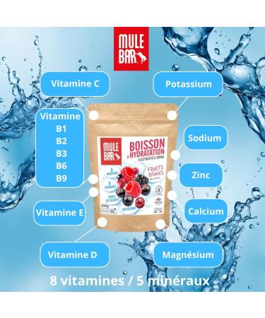 MULEBAR - Powdered Hydration Drink - Red Fruits - Anti-Fatigue - Antioxidant - 8 Vitamins - 5 Minerals - Electrolytes - Very Low Sugar Taste - Easy to Digest - Made in France - 250gr - Buy Online on GoSupps.com