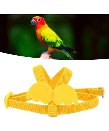 Premium Pet Parrot Bird Dishes & Leash - Adjustable Outdoor Flight Set for Parrots & Nymphensitties | Training Rope & Flight Guidance - Buy Online on GoSupps.com