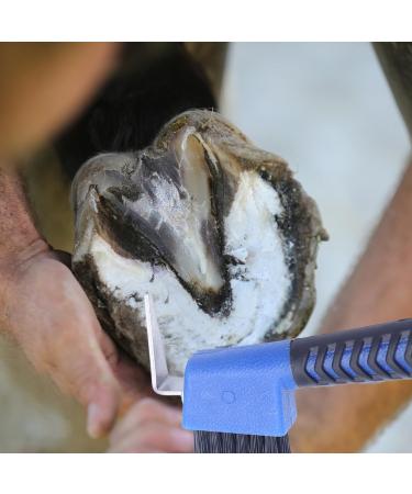 Lezevn 3 Pieces Horse Hoof Pick Brushes with Handle Striped Horseshoe Groove Cleaner Brush Portable Sturdy Horses Hoof Cleaner Horse Grooming Cleaning Tools Random Color - Buy Online on GoSupps.com