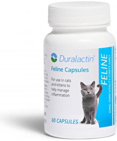 Veterinary Products Laboratories Duralactin Feline Nutritional Aid, 200mg