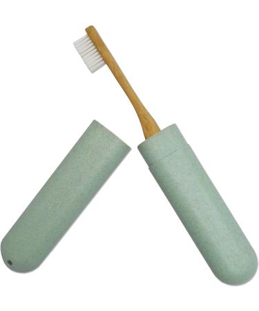 Dental Aesthetics Eco Wheat Straw Toothbrush Travel Case x 1 (Green) - Buy Online on GoSupps.com