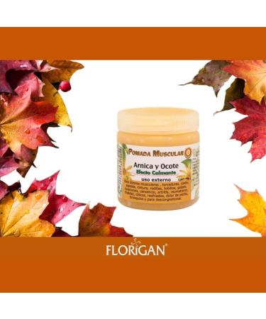 Arnica and Ocote Muscle Ointment Calming Effect 140grs. - Buy Online on GoSupps.com