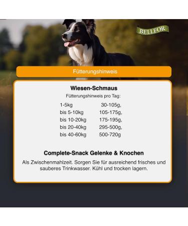 Bellfor Feeding Set for Bernese Mountain Dog Grain-Free Dry Food with Chicken 4 kg and Complete Treat to Strengthen Joints 150 g and Deer Lung Cubes 200 g - Buy Online on GoSupps.com