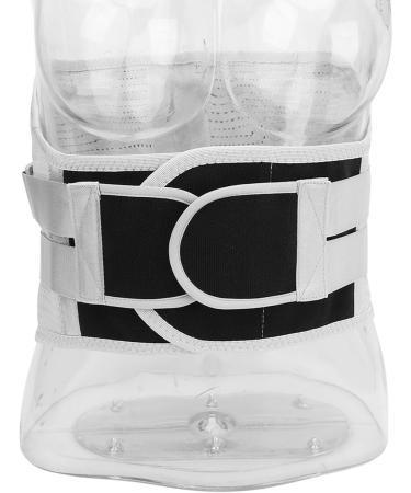 Oumefar Adjustable Back Support Belt for Office - Comfort & Pain Relief International Shipping Available - Buy Online on GoSupps.com