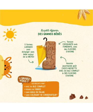 Bl dina Matin D vorer Biscuits Multic r ales Saveur Choco Noisette lot de 10 Choco Noisette 10 unit  - Buy Online on GoSupps.com