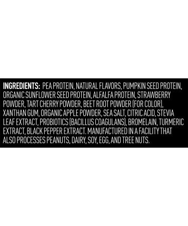 Vega Sport Performance Protein Powder - Berry Flavor (28.3 oz) | Plant-Based Energy Boost - Buy Online on GoSupps.com