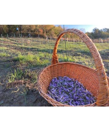 Armu Italian Saffron in Threads 05g Certified First Class Handpicked Pure Pistils for Paella Milanese Risotto Tea and Fine Cuisine - Buy Online on GoSupps.com