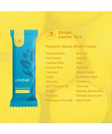 LyfeFuel Vegan Nutrition Bar - High Fiber, Low Sugar, 21 Vitamins & Minerals - Ginger Lemon Tart Flavor - Box of 10 - Buy Online on GoSupps.com