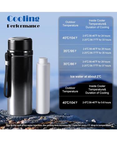 Rhino Valley 48H Insulin Cooler Travel Case - Gradient Black | Diabetes Medicine Bag for 4 Pens | Easy Carry for Travel & Business - Buy Online on GoSupps.com