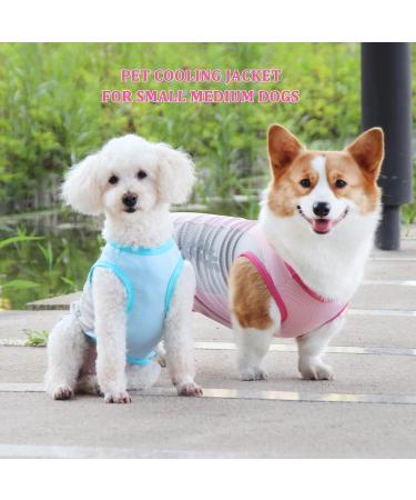 Light Dog Cooling Vest - Breathable UV Protection T-Shirt for Small to Medium Dogs | Reflective Spring Summer Jacket in Pink - Buy Online on GoSupps.com