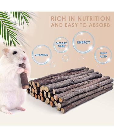 Bissap Apple Sticks for Rabbits - Natural Bunny Chew Toys and Treats - Teeth Grinding for Small Animals - 230g/0.5lb - Buy Online on GoSupps.com
