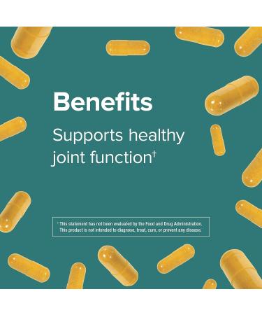 Webber Naturals Turmeric Curcumin 3050mg 120 Vegetarian Capsules - Joint & Antioxidant Support | Gluten-Free, Non-GMO, Vegan - Buy Online on GoSupps.com