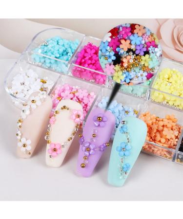 XPEX 12 Grid 3D Flower Nail Charm Set - Acrylic Flower Nail Art Strass 12 Vibrant Colors for DIY Nail Decoration - Buy Online on GoSupps.com