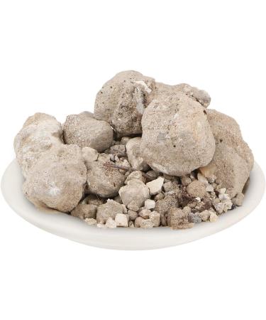 THRU Banslochan Asli - Bambusa Arundinacea Willd. - Bamboo (400 Grams) - Buy Online on GoSupps.com