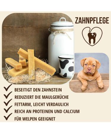 Petlove Hard Cheese for Dogs | 100% Natural Chewing Bones | Cauca Cheese Dental Treats | Ideal for On-the-Go | 3 Pack XS (10-30g) - Buy Online on GoSupps.com