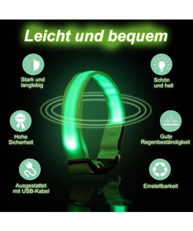 Jostift Luminous Elbe Rechargeable LED Dog Collar - Waterproof & Adjustable for Small/Medium Dogs - Super Bright with 3 Lighting Modes (Green) - Buy Online on GoSupps.com