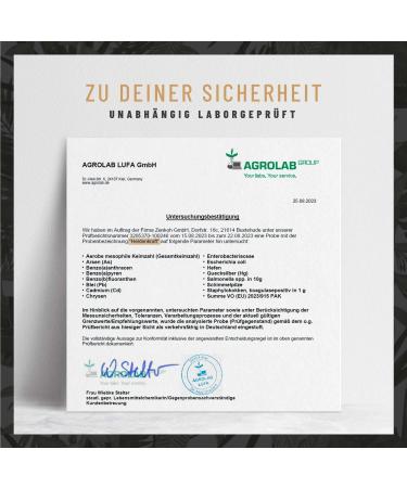 High-Dose Maca Capsules 20:1 Extract with Tribulus Cordyceps & Ginseng - 90 Capsules for Men's Heroic Power | International Shipping Available - Buy Online on GoSupps.com