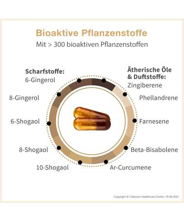 Buy Organic Ginger Capsules - High Dose Ginger Extract with Gingerol & Shogaol - 60 Pharmaceutical Quality Pieces - International Shipping Available - Buy Online on GoSupps.com