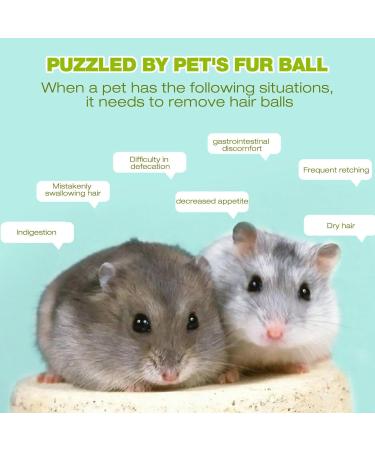 Dubbulon Hairball Remedy For Cats Hair Balls Control Cat Food Hairball Cat Supplies For Indoor Cats Hair Balls Control For Cats Hamster Rabbit Guinea Pig 60g - Buy Online on GoSupps.com